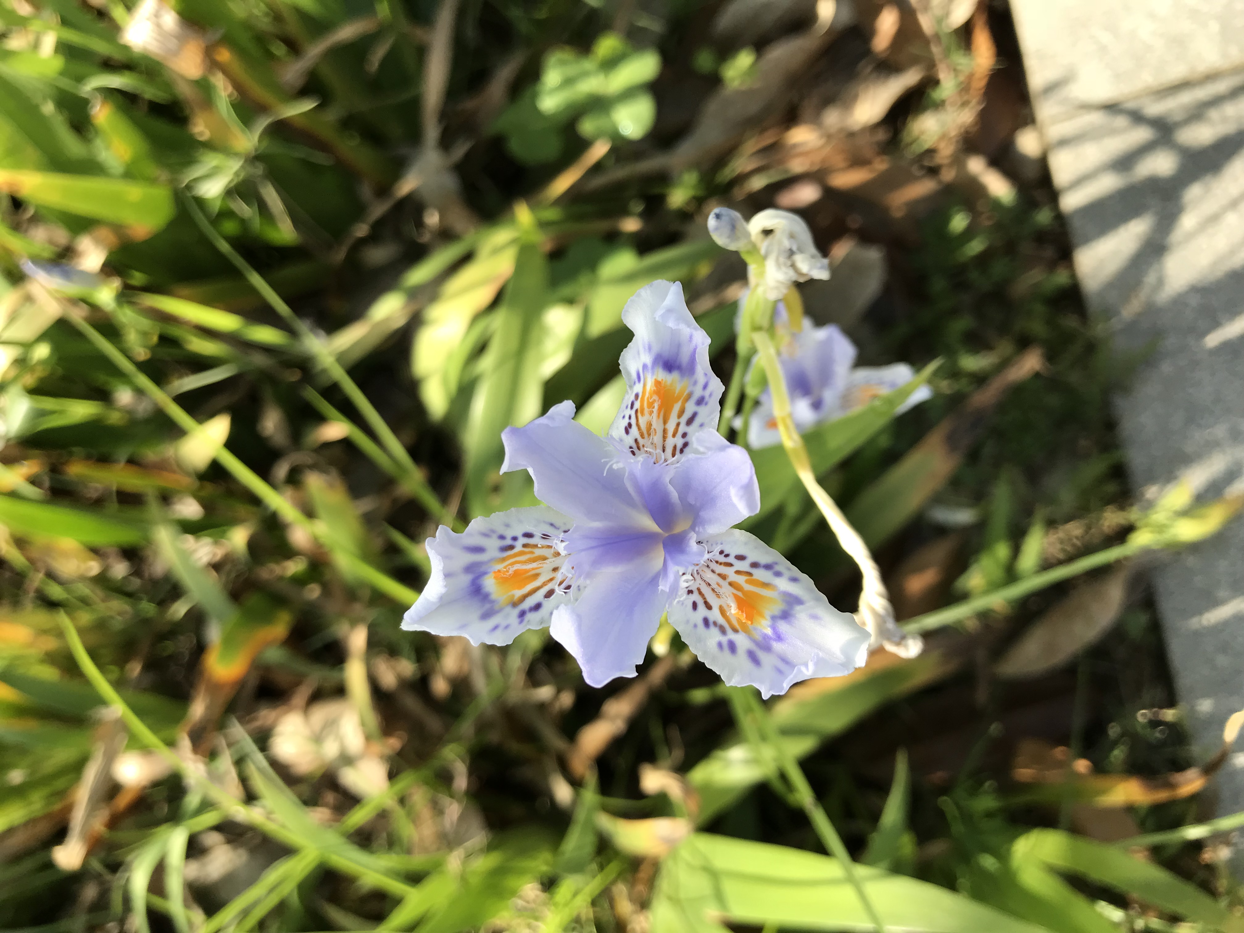 ./2018/03 - Viking China/17 - Three Gorges/IMG_8398.JPG